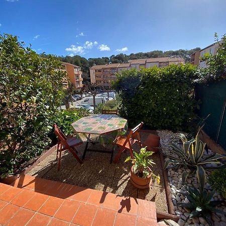 Charmant Studio Costebelle Proche Gare, Terrasse Et Parking Gratuit Apartment Hyères Екстериор снимка